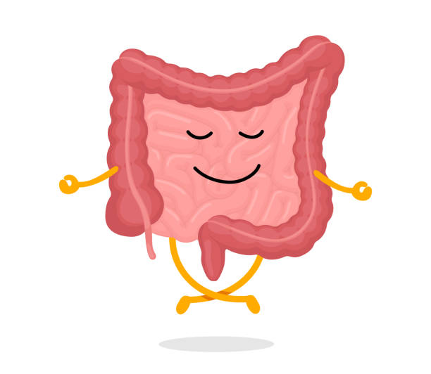 Gut Health
